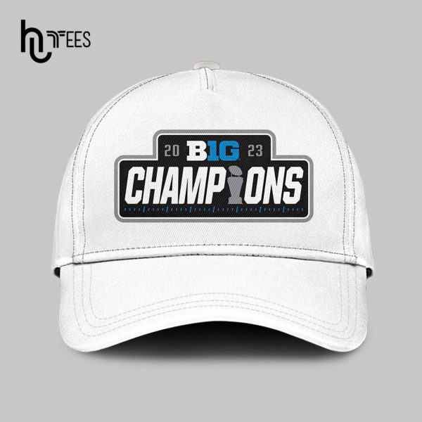 2023 Big Champions Michigan Football Back To Back Hoodie 3D Limited