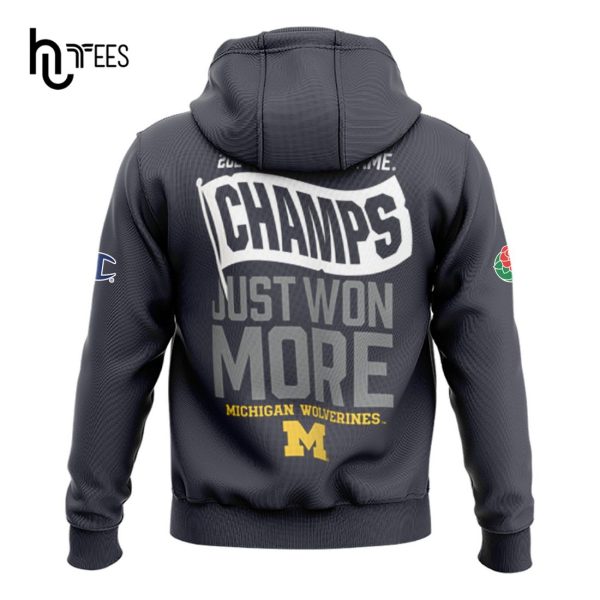 Michigan Wolverines Football 2024 Champs Just Won More Hoodie 3D